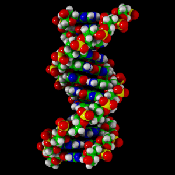is addiction genetic?